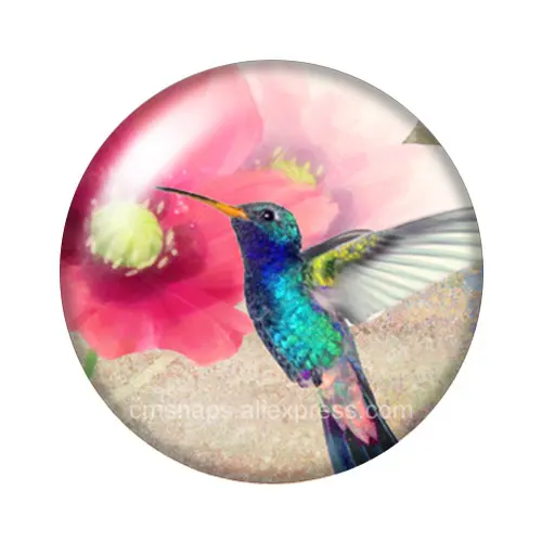 New Beauty Lively Hummingbirds Birds 10pcs mix 12mm/18mm/20mm/25mm Round photo demo glass cabochon flat back Making findings | Украшения и