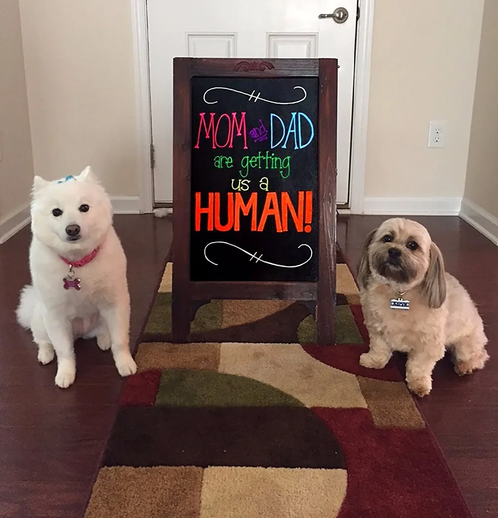 Цветной флуоресцентный Маркеры Повторное заполнение Мел маркеры стираемые