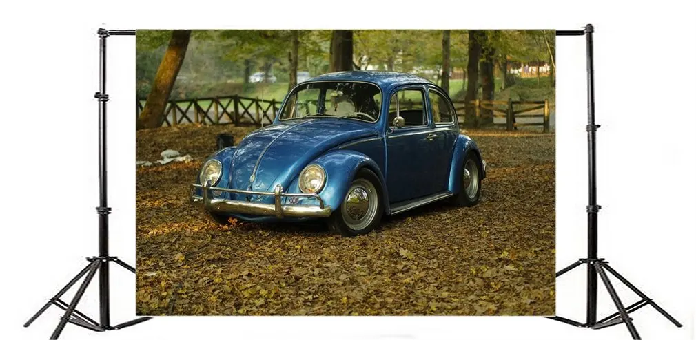 

Фон для фотосъемки природа Ric винтажный автомобиль деревья распадающие листья осень Ric