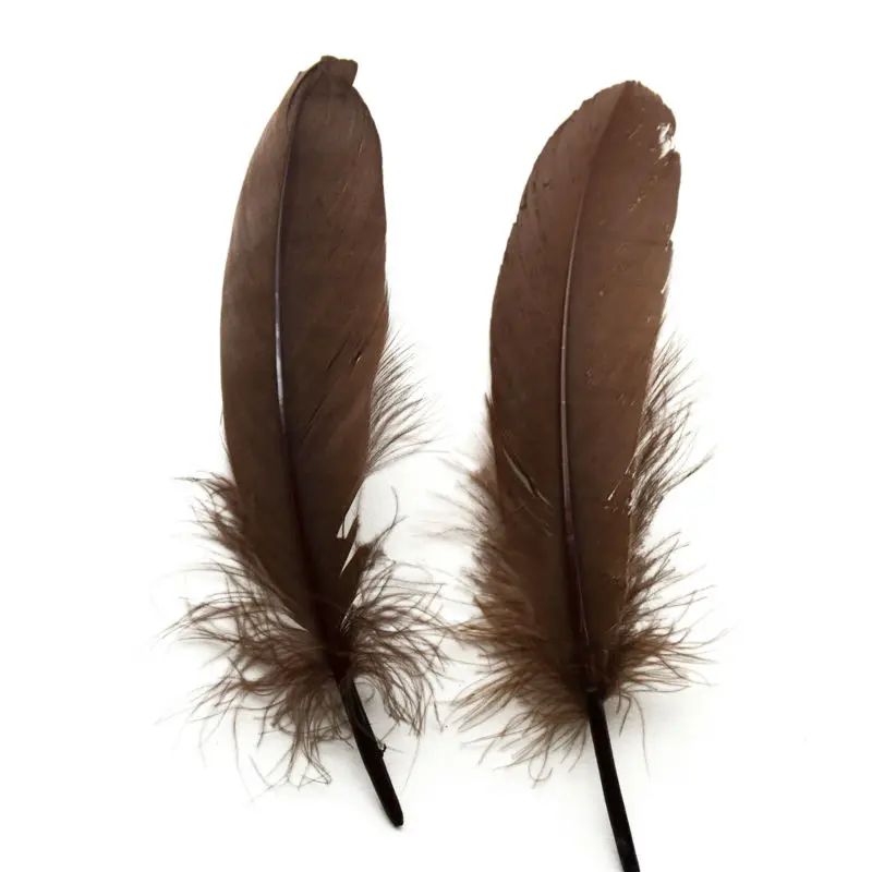

500pcs/lot!15-20cm long coffee Goose Feathers,Hat Trimming,Feathers for Millinery,Fascinators&Crafts