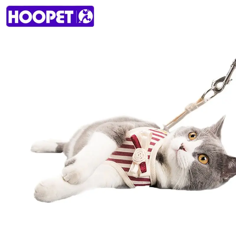 Hoopet дышащий Кот прогулки шлейка и поводок стильная куртка + комплект милый бант