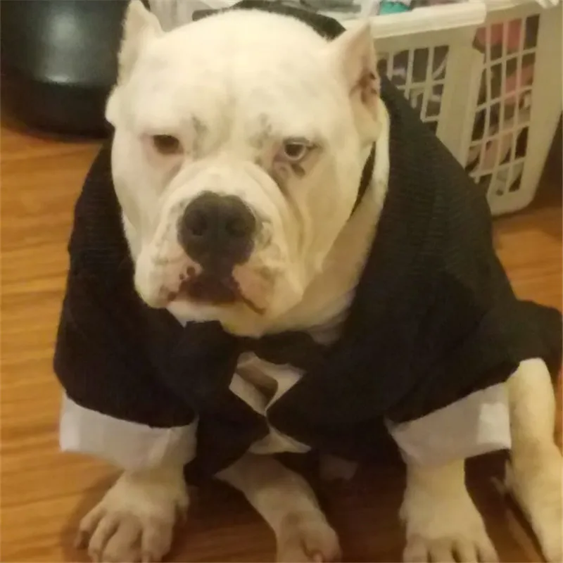 Одежда для большой собаки костюм свадьбы смокинг собак Bulldogs формальный