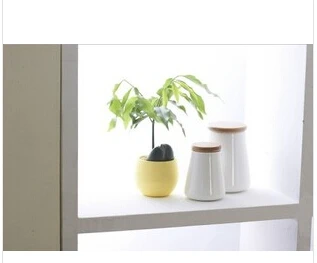Gardening Mini Plastic Flower Pots Vase Square Bonsai Planter Nursery /flower pots planters/garden 10pcs/lot | Дом и сад