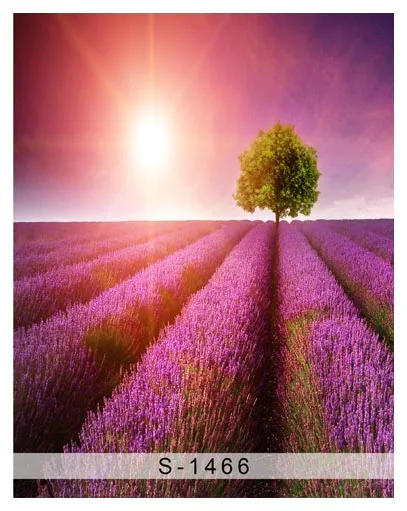 Пользовательский виниловый тканевый фиолетовый Лавандовый цветок поле