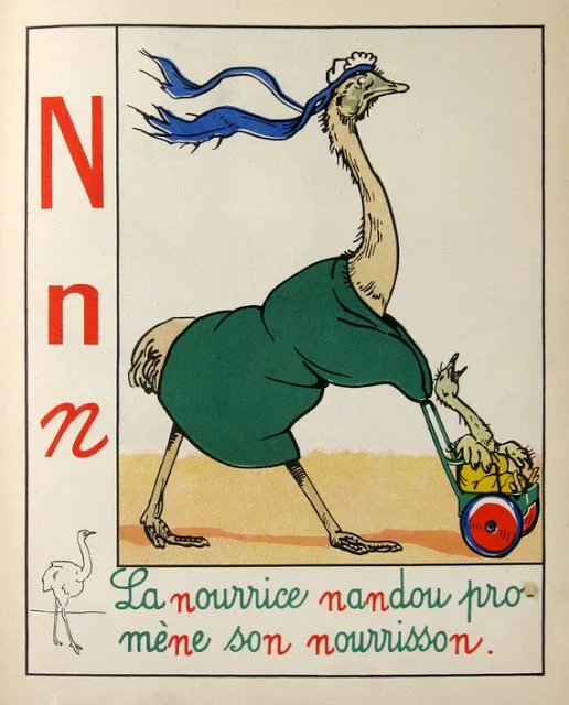 Винтажная животная Abc книга Алфавит Q для перепелиных ретро постер Холст Картина