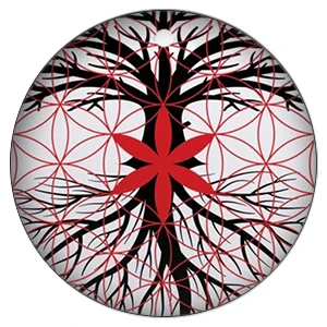 ZDYING 5 шт./партия 12 мм/20 мм/25 мм Yin Yang Дерево жизни круглый стеклянный кабошон фото куполообразные бусины демонстрационный плоский задний вывод - Цвет: LF001