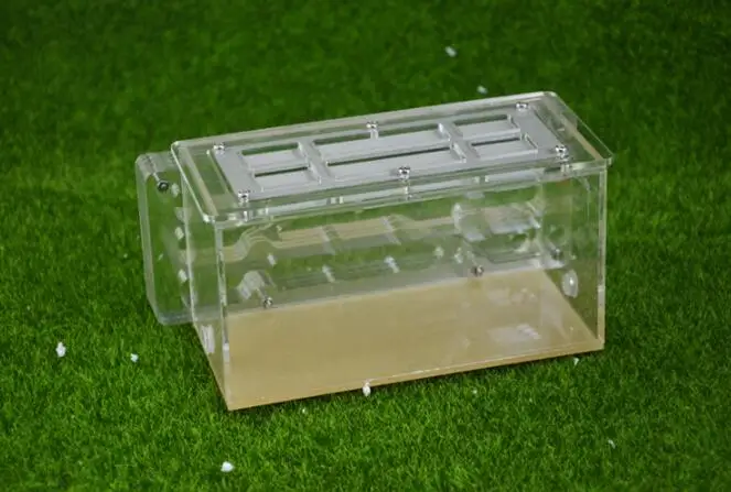 DIY Муравьиное гнездо для домашних питомцев пластиковая акриловая клетка