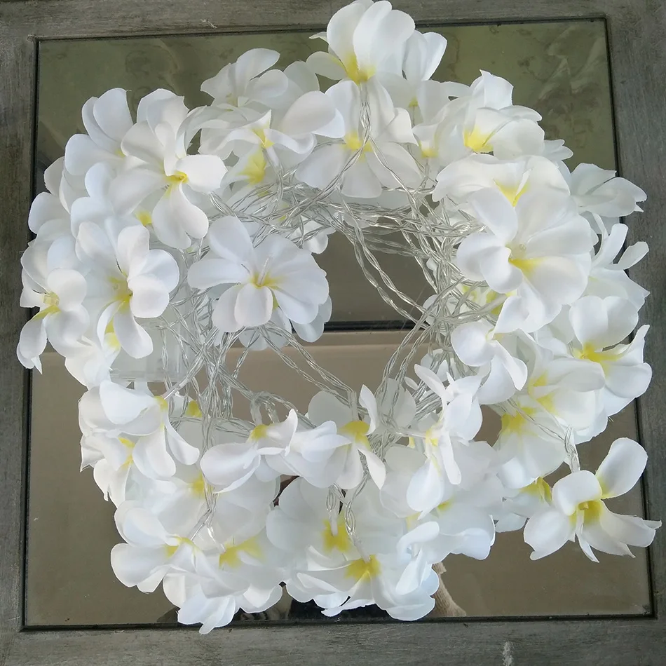 Гирлянда frangipani, 5 метров, 40 светодиодов, светильник-Гирлянда для мероприятий, вечерние украшения, ваза, цветочный светильник, декоративный, новогодний струнный светильник