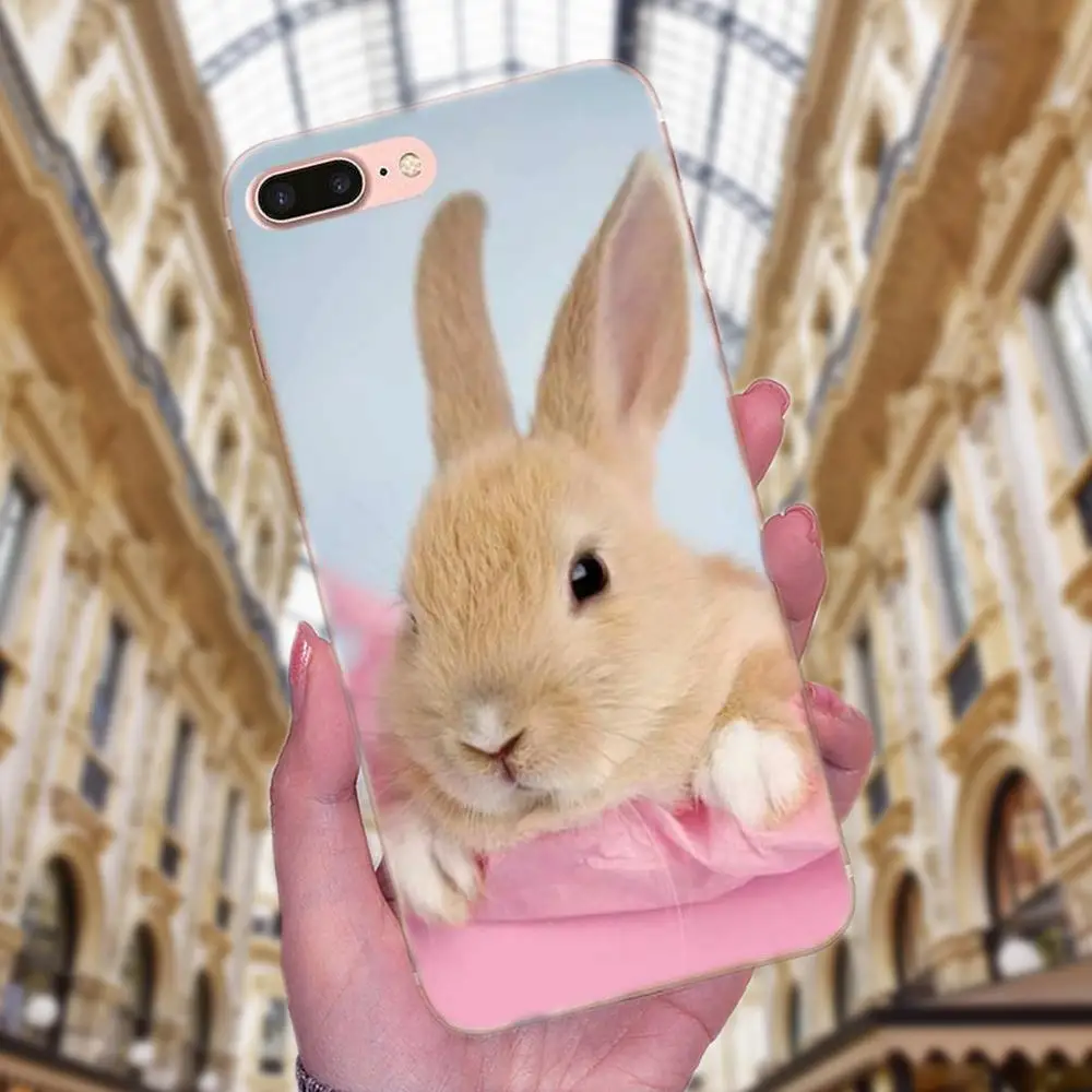 Милый Белый Кролик Банни для Huawei P7 Honor 4C 5A 5C 5X 6 6C 6A 6X 7 7X 8 9 V8 V10 Y3II Y5II Y6II G8 Play Lite мягкий