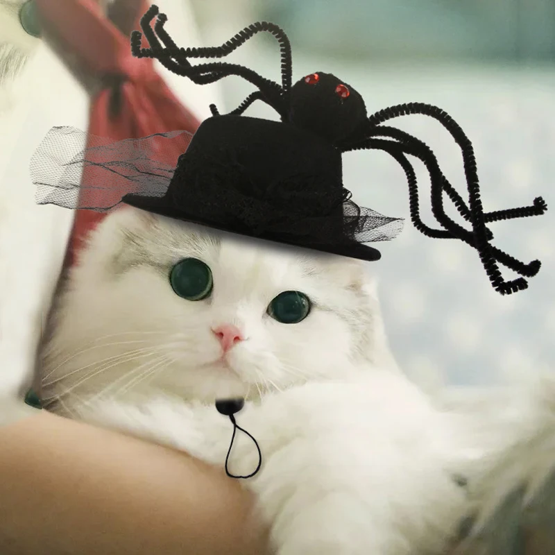 

Funny Pet Headwear Dog Cap Cat Headgear Pet Halloween Costume Spider Headdress For Dogs Cats Kitten Chihuahua Poodle Accessories