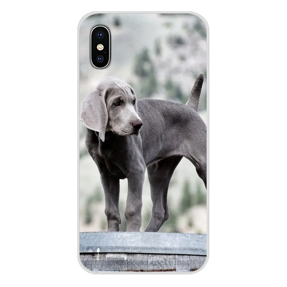 Weimaraner собака искусство для Samsung Galaxy J1 J2 J3 J4 J5 J6 J7 J8 плюс 2018 Prime 2015 2016 2017 аксессуары