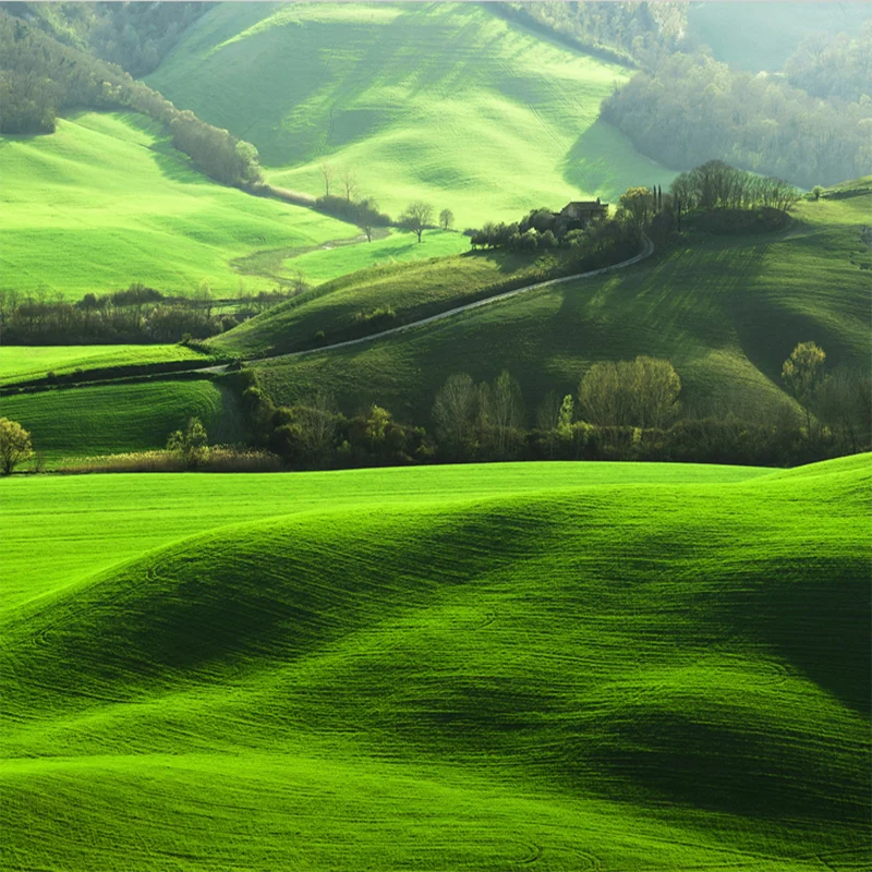 3D фотообои на заказ большой фон для спальни гостиной с рисунком