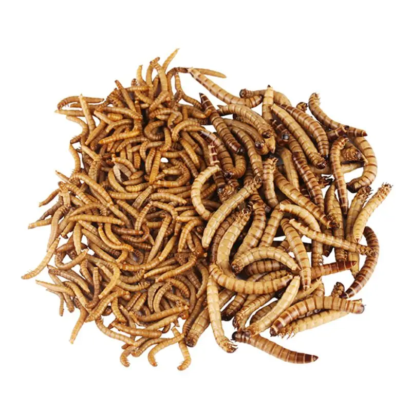 

140g Natural Dried Mealworm Food Meal For Feeding Pet Reptile Chickens Wild Garden Bird Aquarium Worm