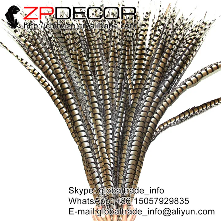 ZPDECOR 40 44 дюйма (100 110 см) 50 шт./лот супер длинные натуральные женские перья из хвоста