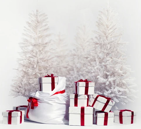 Gifts Bag Bows Grey Sky Iced Trees Christmas Custom Photography Studio Backdrops Backgrounds Vinyl 8x8 8x10