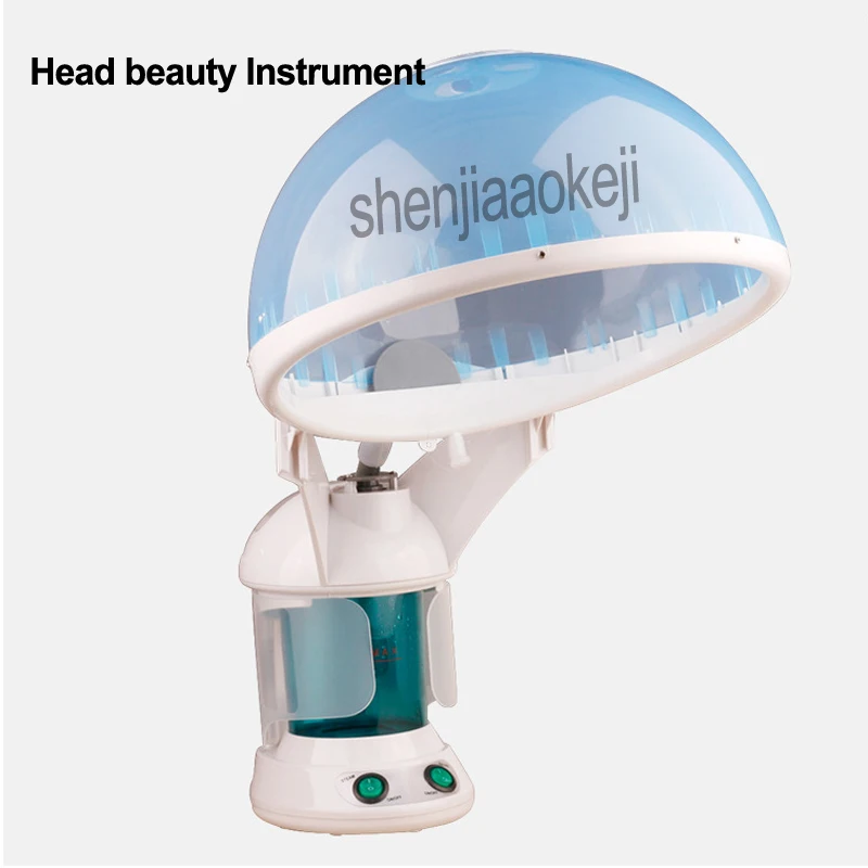 Домашний Электрический озоновый ароматизатор для парения лица инструмент