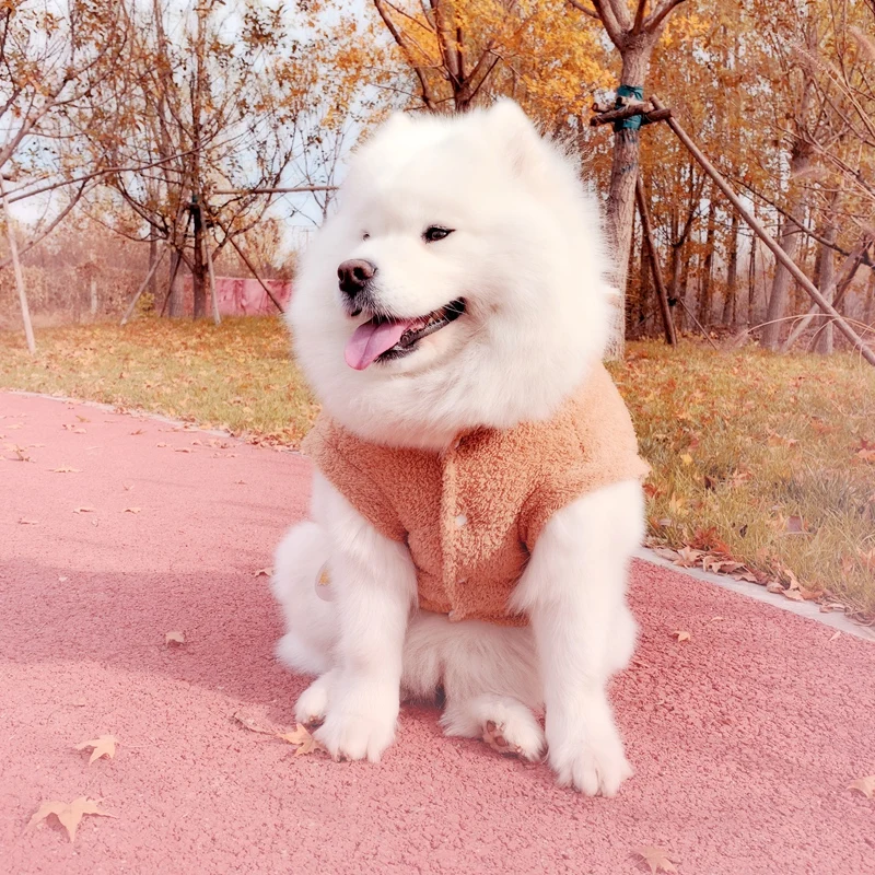 Raccoon Costumes Clothes For That Terrier Thick Winter Warm Pet Coat And Jackets Small Medium Large Animal Cat Poodl Hoodie | Дом и сад