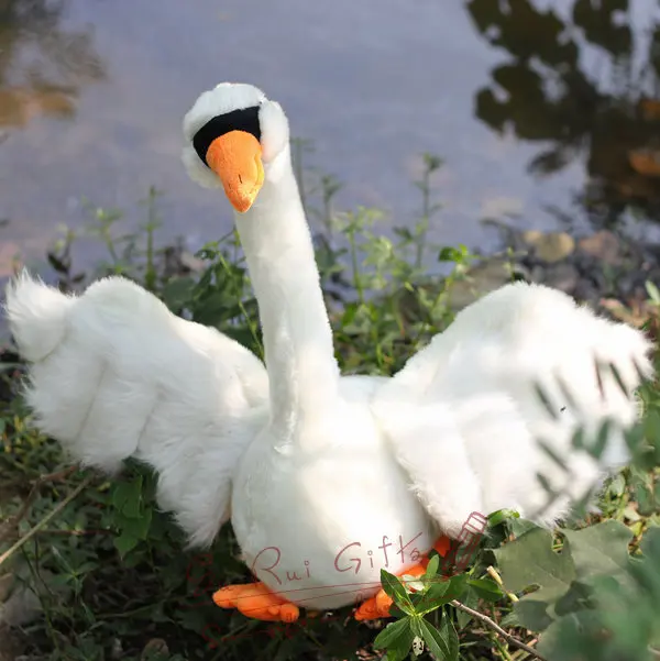 

new lovely plush swan toy white simulation swan doll gift about 55cm 0622