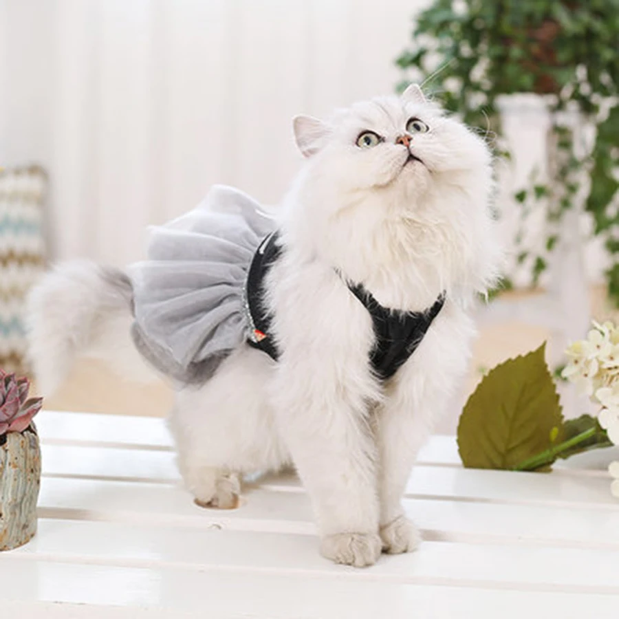 Costume Cat Clothes Pet Chihuahua Sweaters All Seasons Ropa Para Gatos De Navidad Disfraces Mascotas 50MYF019 |