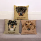 Красочный Милый Плюшевый чехол для дивана, домашний декор, обезьяна, кошка, белка, дневник, 45*45 см