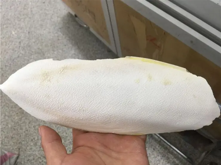 1 шт. 18-20 см попугай Каракатица кость для птицы черепаха продукты птица игрушка