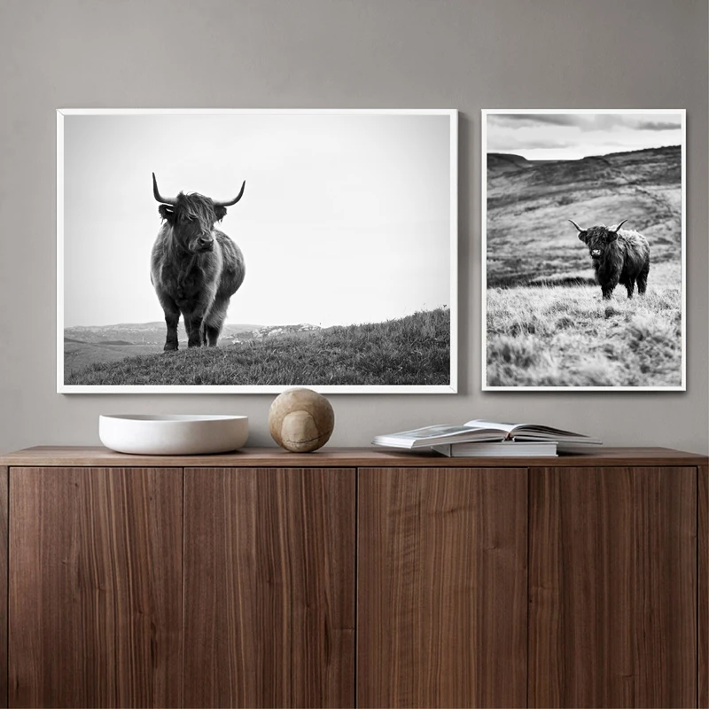 Highland корова холст картины черный белый цвет фотографии картина фермы на стену
