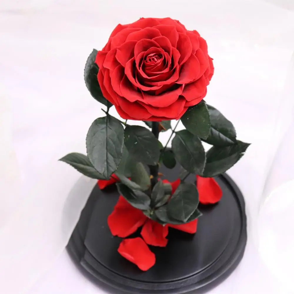 Большой размер голова 9 см вечная роза цветок Красавица и Чудовище