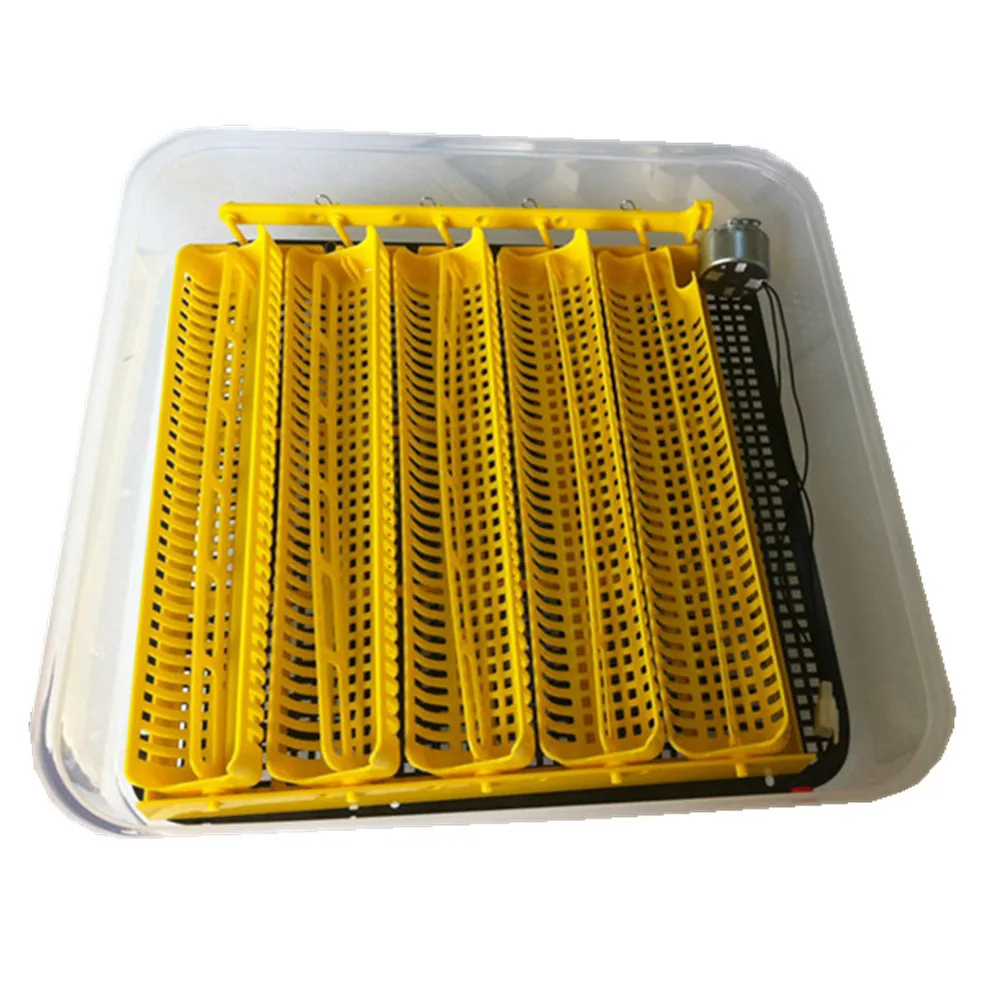 Бесплатная доставка для 39 Цифровой яйцо инкубатор полностью автоматический