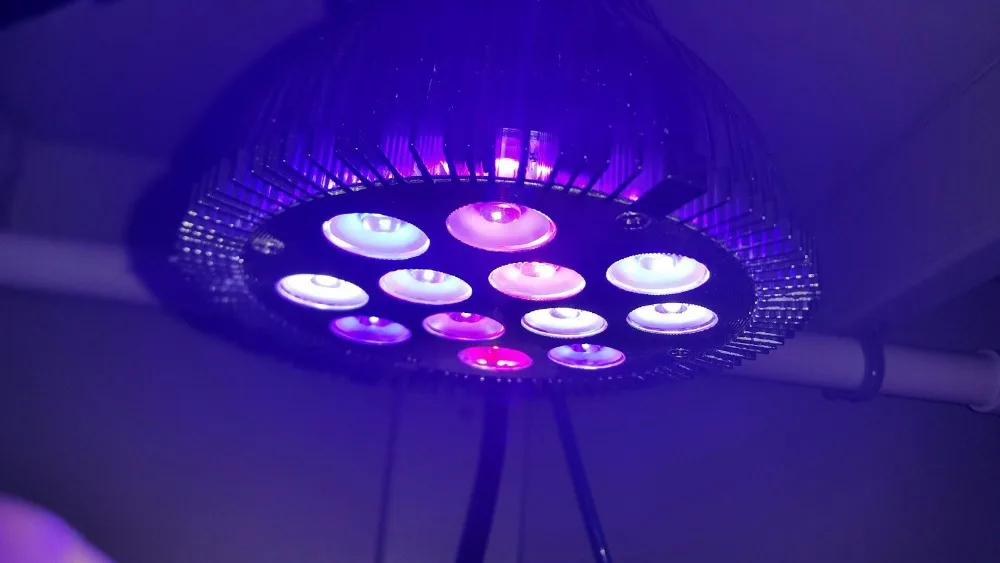 Светодиодная лампа полного спектра для коралловых рифов 12 Вт|led nano reef|nano led reefnano reef