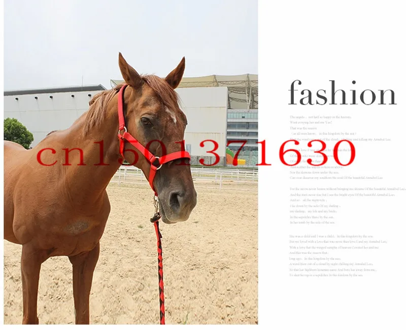 2.0 м конный верховая езда уздечка верховой езды показать умение жгут никаких