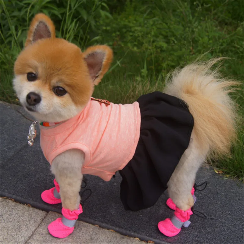Милое Платье для собаки жилет летняя одежда собак кошек чихуахуа пудель Бишон