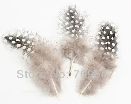

200Pcs/Lot 5-12cm Plume,NATURAL BLACK & WHITE LOOSE GUINEA Fowl Spotted Feathers,Big Dot GUINEA Fowl Spotted Feathers