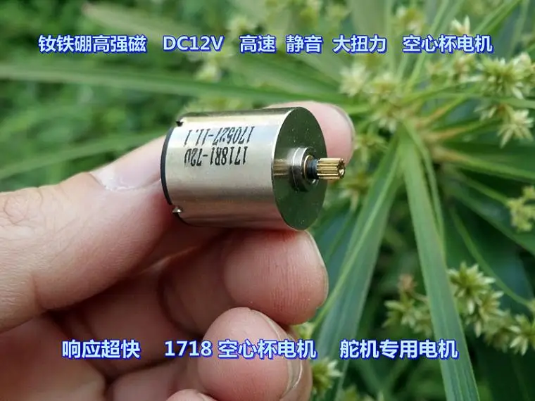 NdFeB высокопрочный Магнитный DC12V высокоскоростной бесшумный двигатель рулевого управления с высоким крутящим моментом 1718 двигатель с полой чашкой