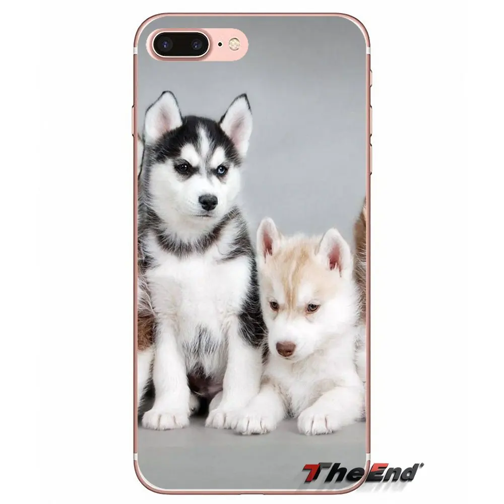 Аксессуары для телефонов с изображением волка iPhone X 4 4S 5 5S 5C SE 6 6S 7 8 Plus Samsung Galaxy J1 J3 J5