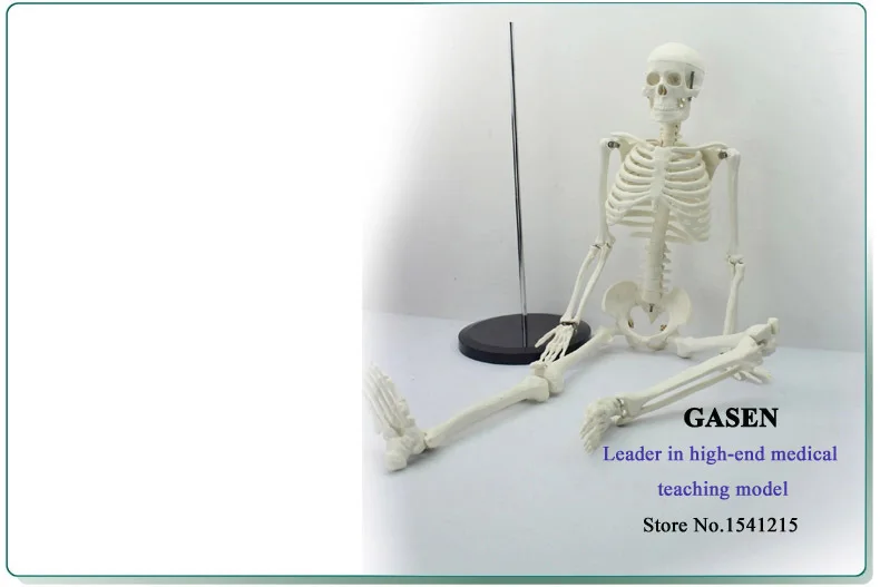 85 см обучающая модель человеческого скелета анатомический медицинский скелет
