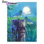 Алмазная мозаика с птицами Ever Instant, квадратная мозаика ручной работы 5D сделай сам, вышивка крестиком, алмазная вышивка Стразы asfся