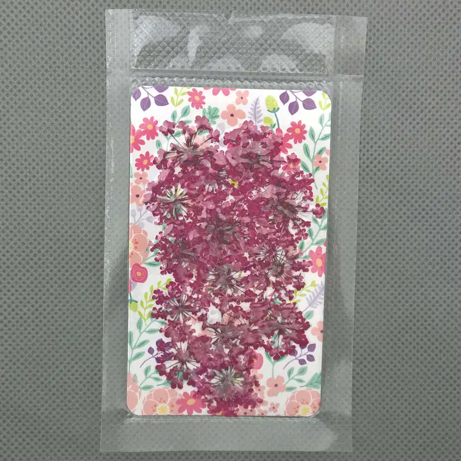 medium VioletRed 2-2,5 СМ Цветной кружевной цветок Натуральные сушеные цветы сделай сам прессованный гербарий цветок декоративные поделки стеклянный глобус наполнитель фурнитура - Цвет: medium VioletRed