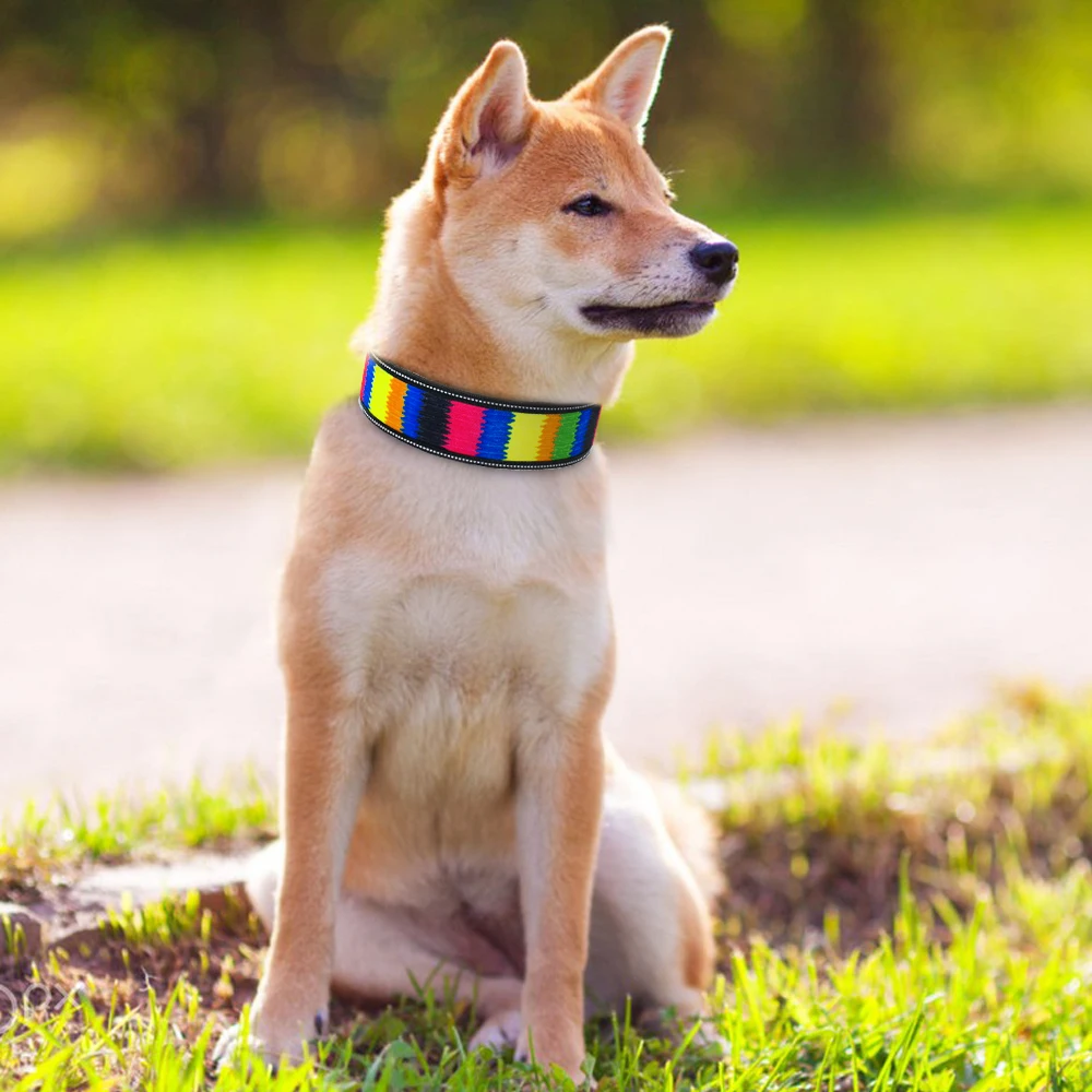 Ошейник нейлоновый принтовонный полосатый Pet Воротник Перро Светоотражающие больших собак воротники для средних и больших размеров, для собаки Грейхаунд, защитный чехол для телефона