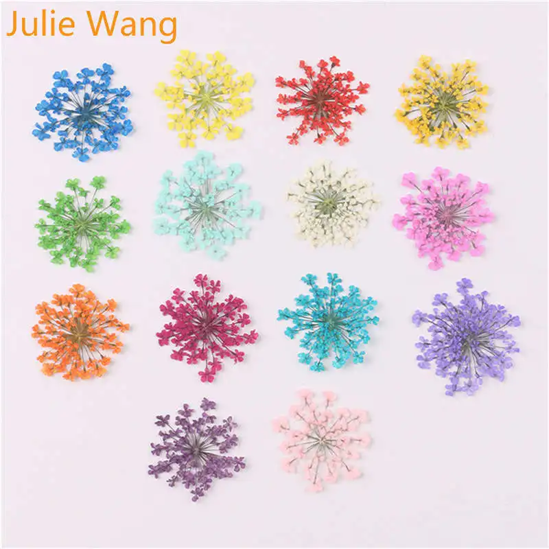 Julie Wang 50 шт. Натуральные Сушеные кружевные цветы образец для подвесок ожерелье