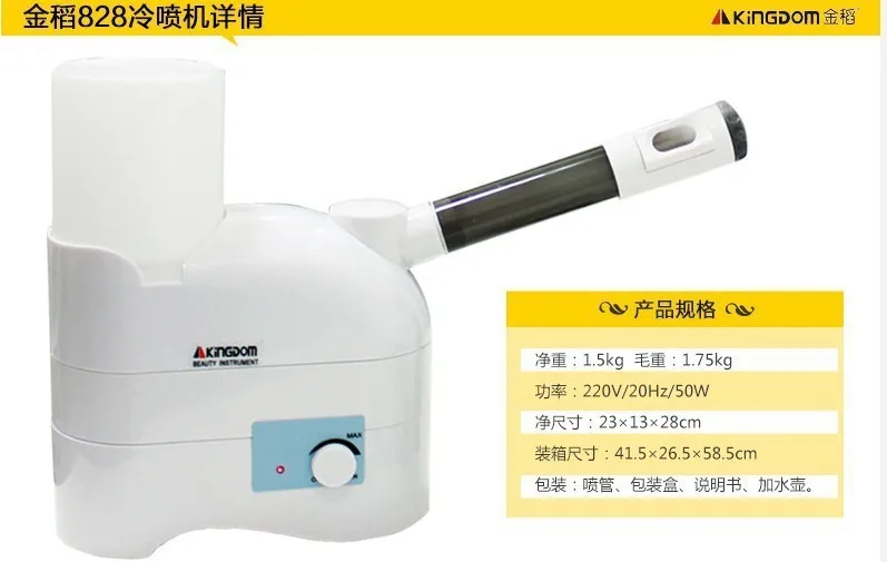 

Professional Portable Mini Desktop Facial Steamer Ozone Spa Salon Equipment Cold Spray Machine