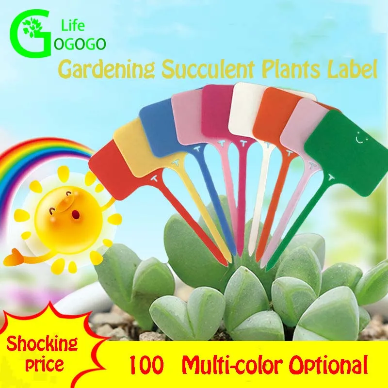 100 шт суккулентные водонепроницаемые этикетки Марка Цветок Сад открытка с