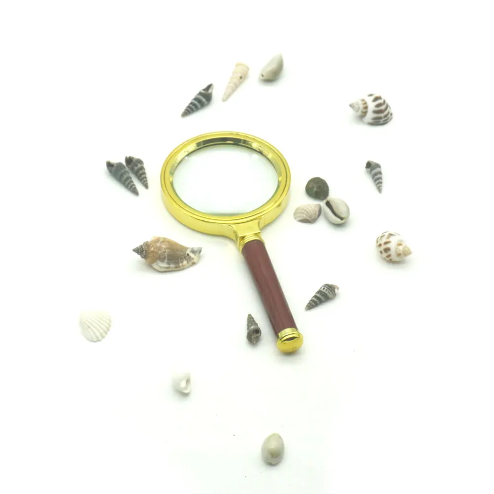 Montessori Sensorial Material Seashell Activities Развивающие деревянные игрушки для детей 3 лет Juguetes
