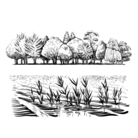azsg willow trees river reed clear stamps for diy scrapbooking decorative card making craft fun decoration supplies 10x15cm
