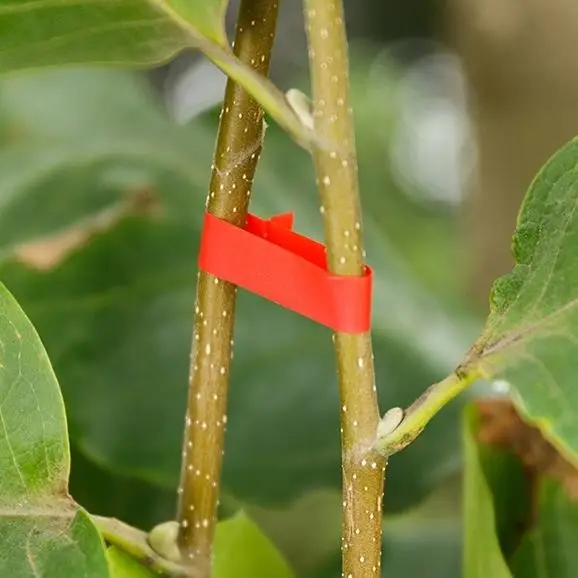 Инструмент для ручной вязки растений садовый степлер в форме подрезки листьев