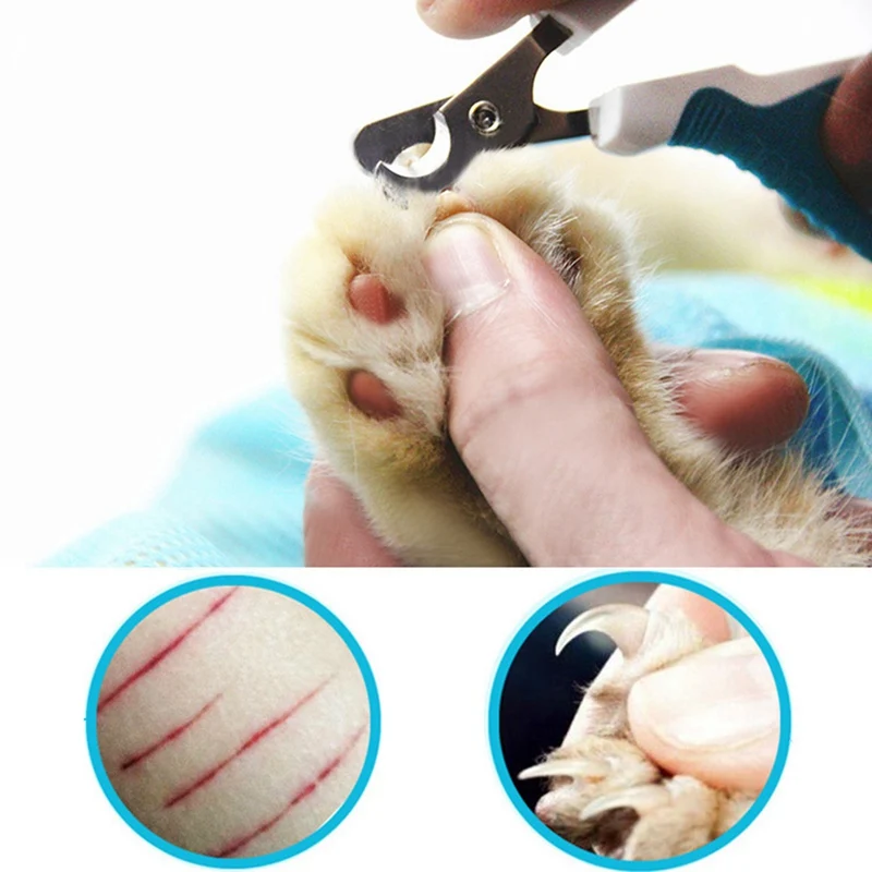 Ножницы для ногтей из нержавеющей стали домашних собак и кошек изогутое лезвие