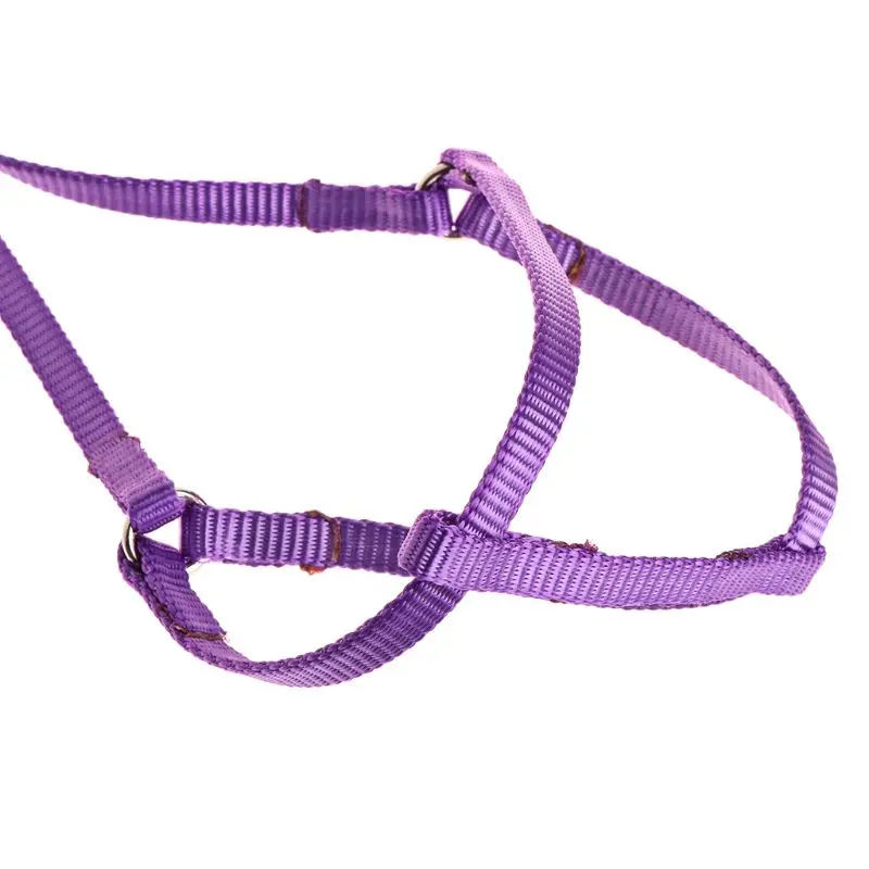 Регулируемый поводок для птиц портативная свинцовая веревка маленьких домашних