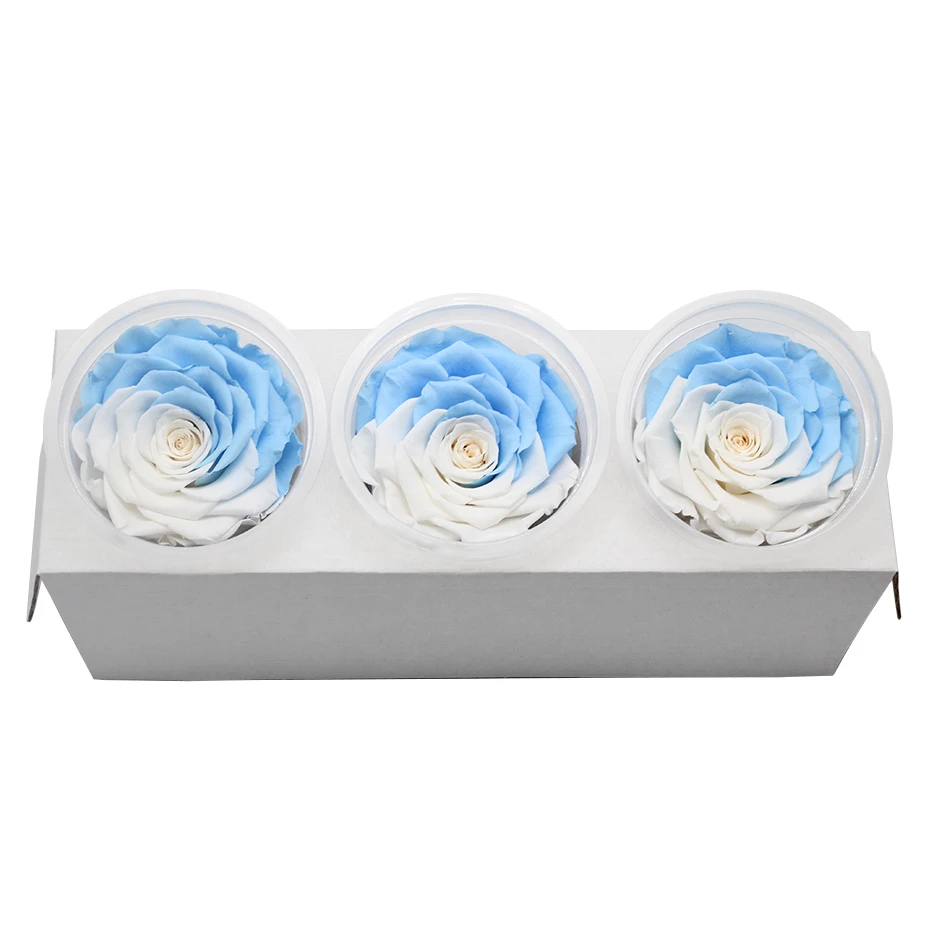 1 коробка Eternal Flores консерванты натуральные сухоцветы консервированные цветы бесморская Роза 8 см подарок на день Святого Валентина день рождения