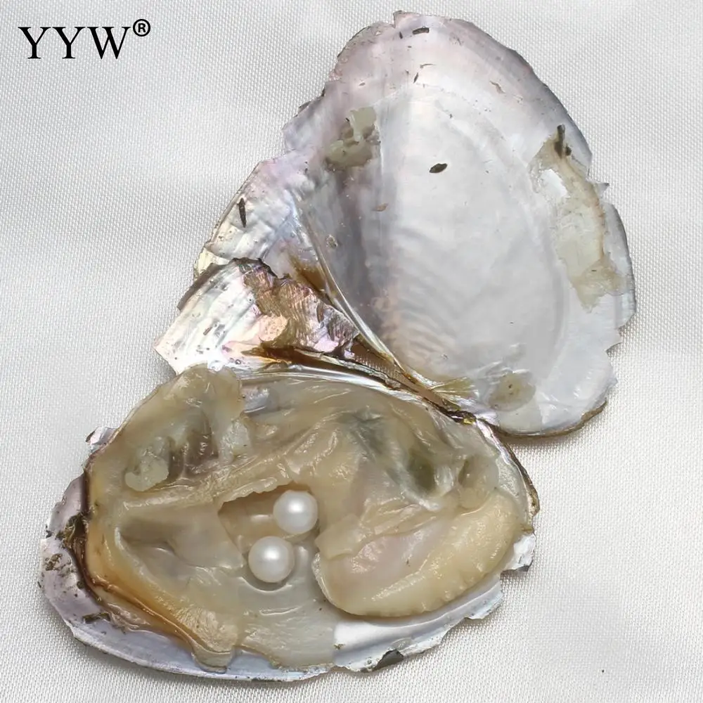 

10pcs/lot Vacuum-Packed Natural Pearl Freshwater Cultured Pearl Oyster with 7-8mm Potato Random Color Pearl DIY Birthday Gifts
