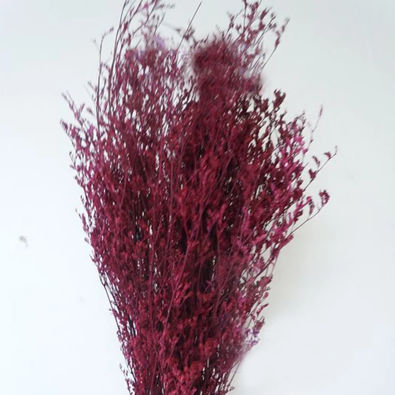 Wine Red Красивый цветок натуральный маленький сушеный цветок для вечерние украшения дома спальни гостиной офиса DIY Цветы для скрапбукинга ручной работы - Цвет: Wine Red