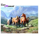 Когда-нибудь момент алмазов картина 5D Сделай Сам Алмазная мозаика полная квадратная дрель Алмазная вышивка, лошади группы горная река крестом S2F1855